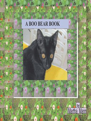cover image of A Boo Bear Book